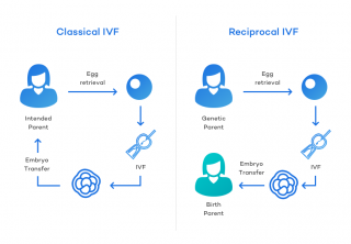 Reciprocal IVF: What It Is, How It Works & What It Costs