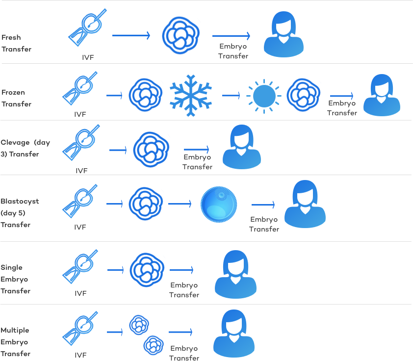 Embryo Transfer Type Summary