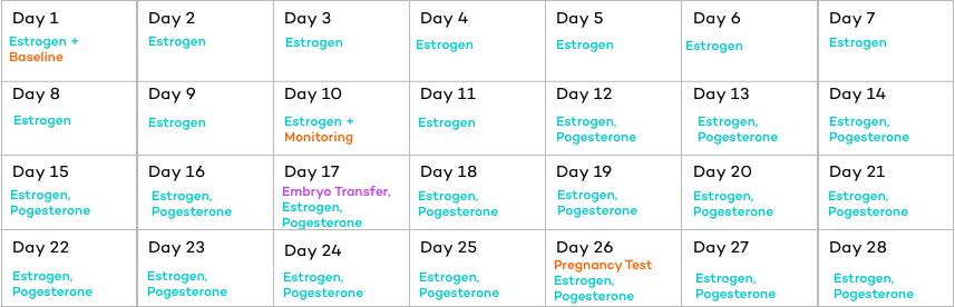 Frozen Embryo Transfer Timeline