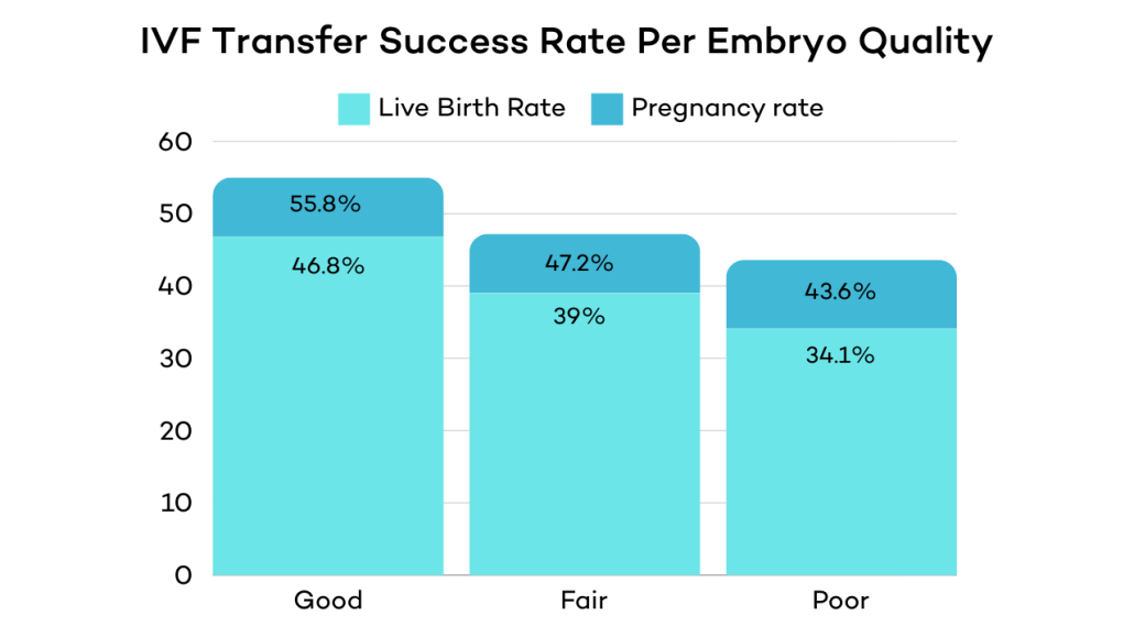 graph of IVF transfer success rate per embryo quality