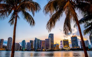 Florida IVF Fertility Clinics: The Best and the Rest