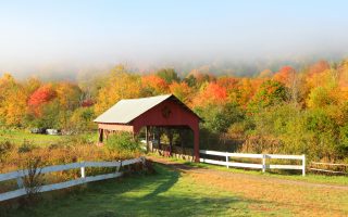 How Much Does IVF Cost in Vermont 