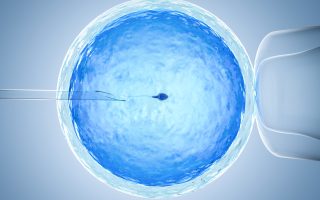 How Many Embryos To Make During IVF?