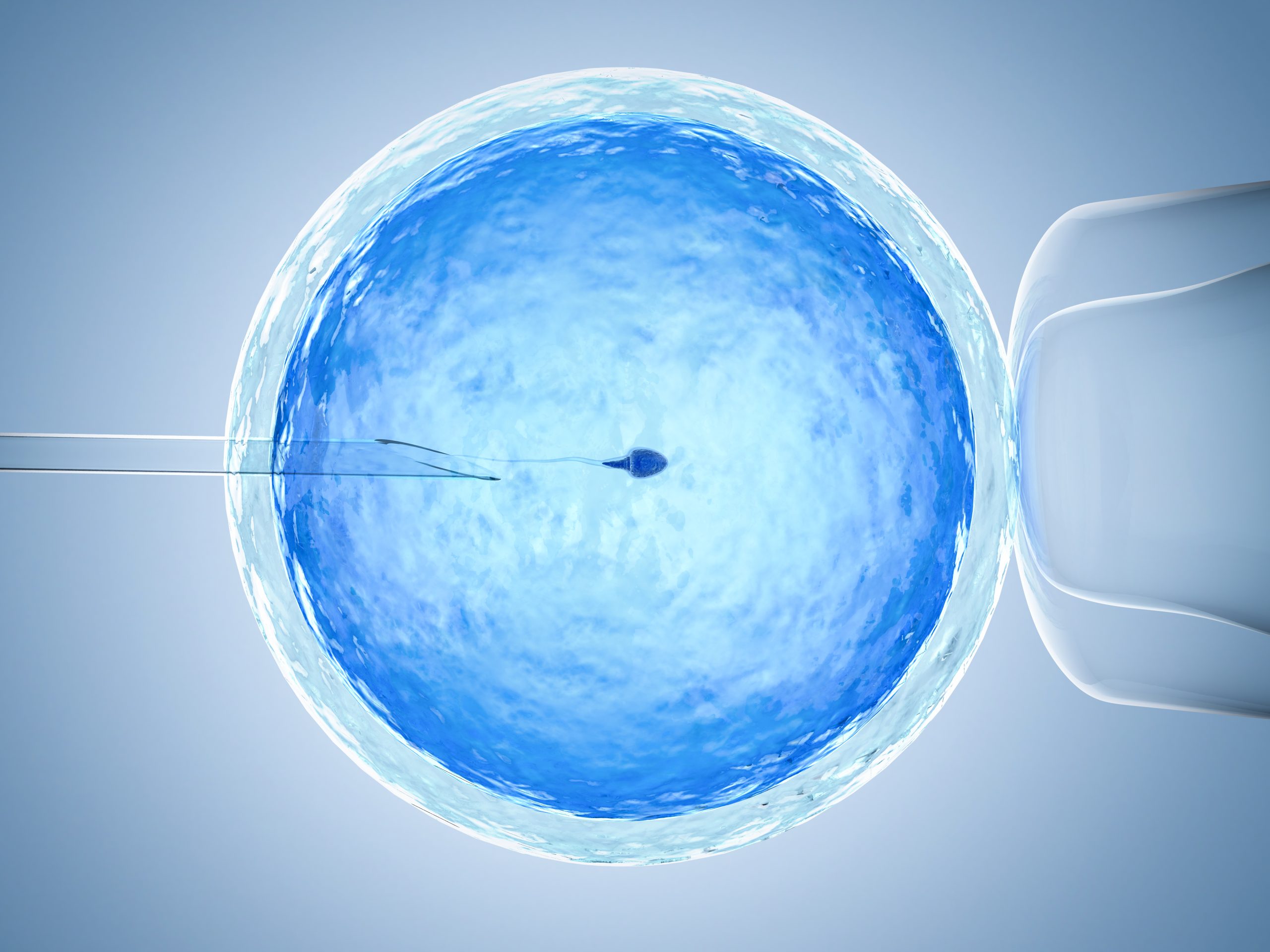 How Many Embryos To Make During IVF?