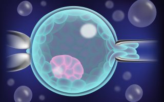 IVF With Genetic Testing (PGT): Benefits and Success Rates