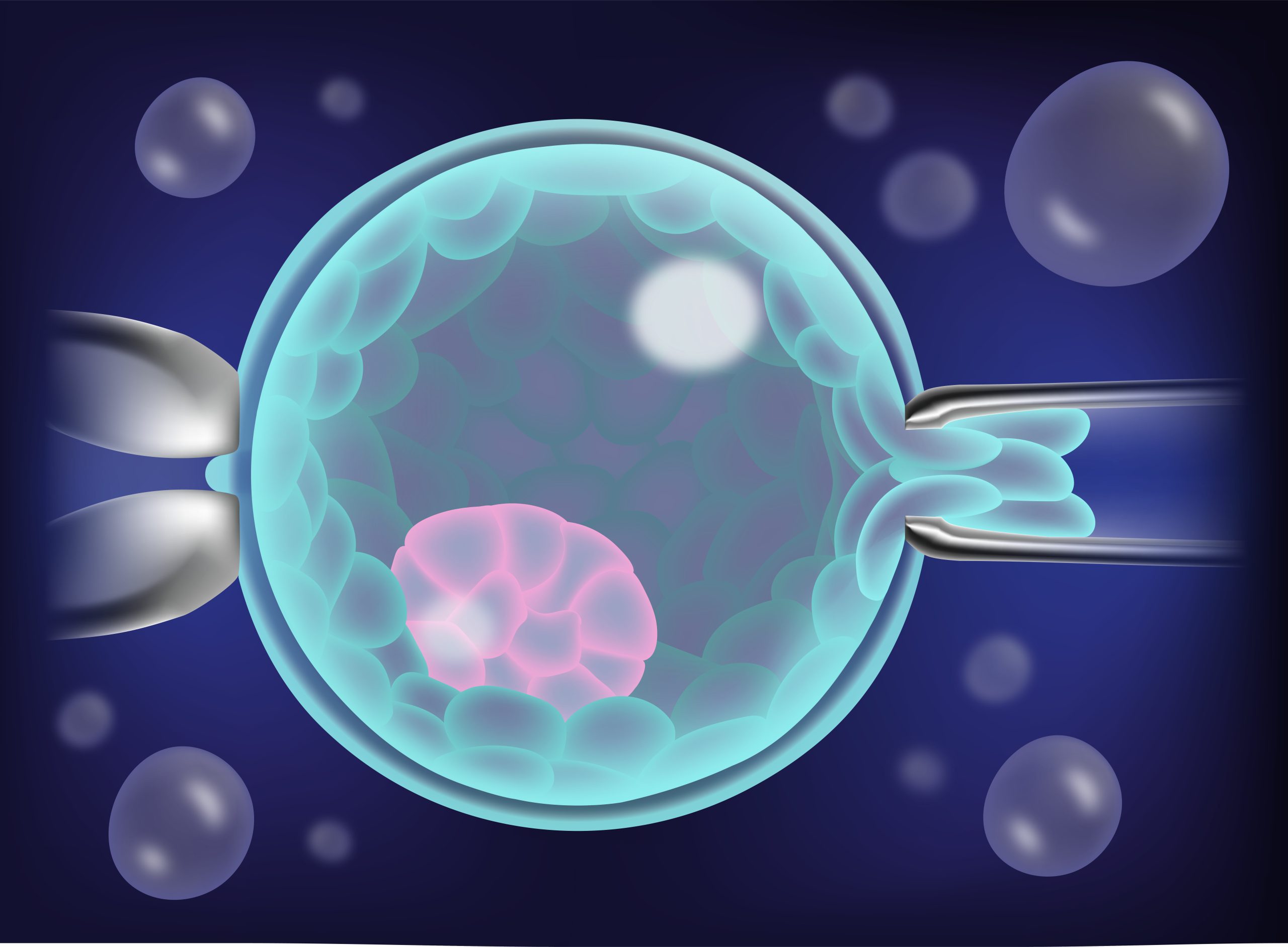 IVF With Genetic Testing (PGT): Benefits and Success Rates