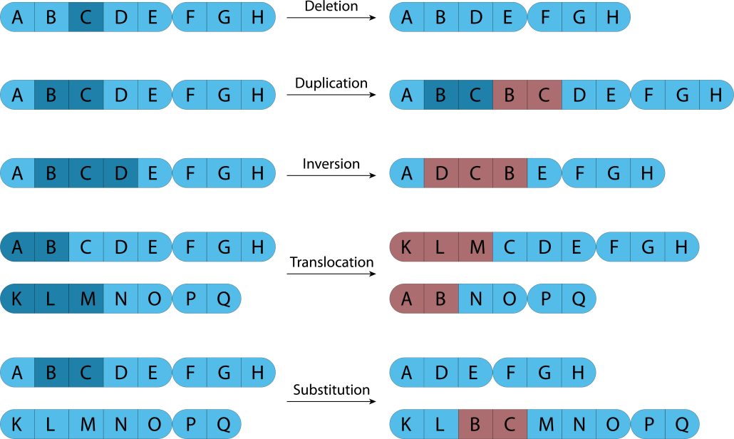 diagram of various genetic abnormalities 