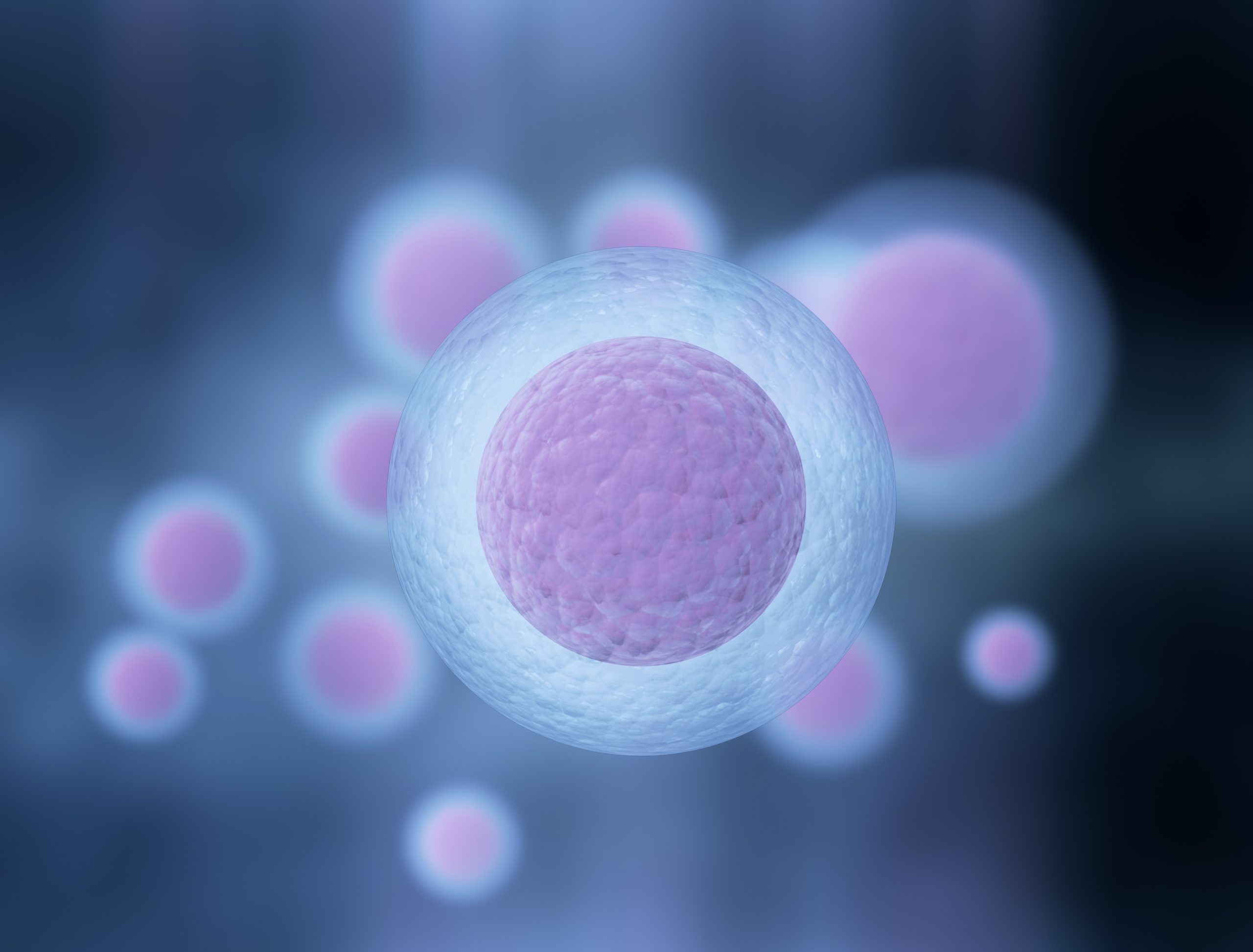 Number of Eggs Retrieved in IVF: Average, Optimal, By Age