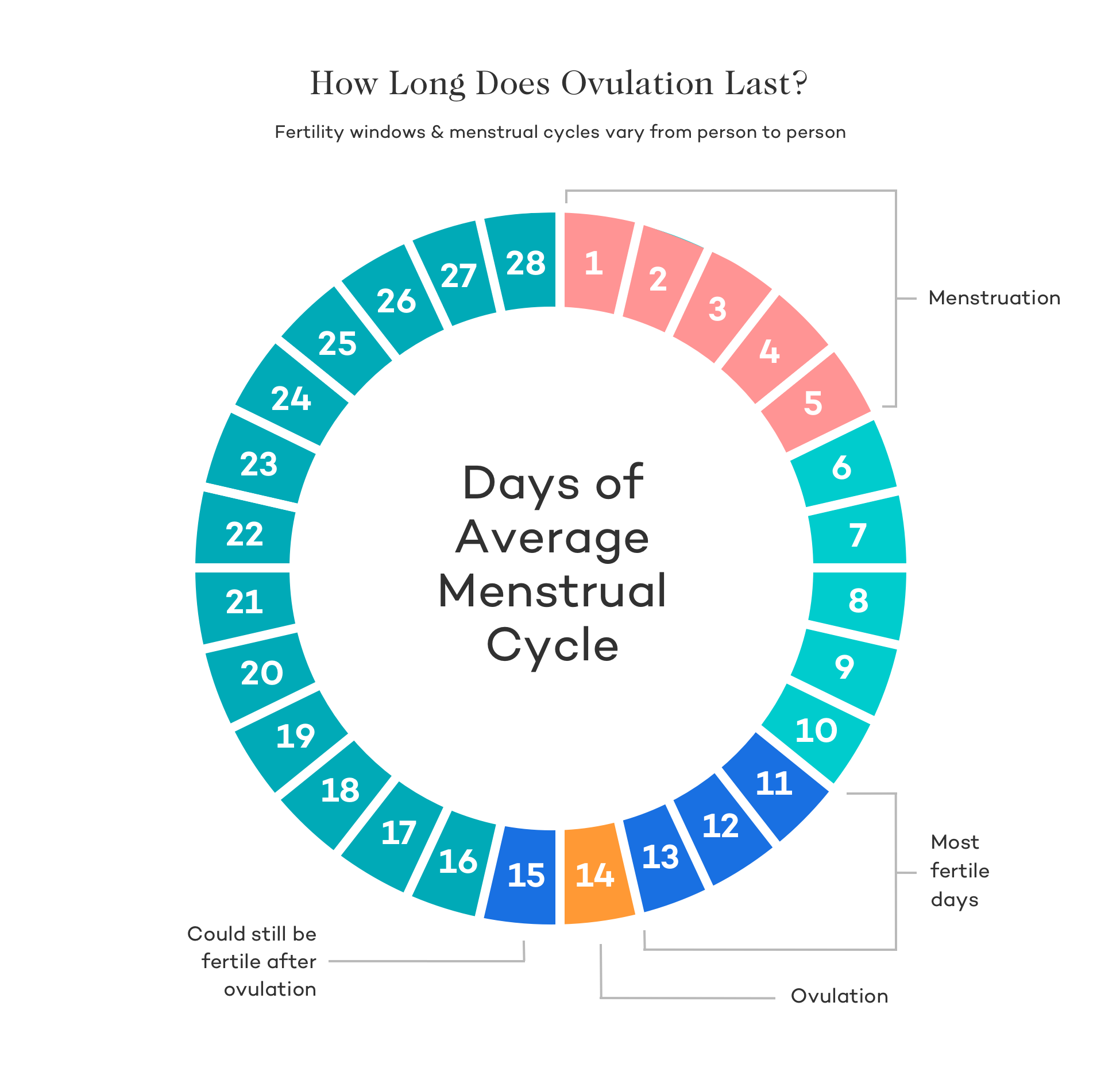 Menstrual Cycle Chart Fertility