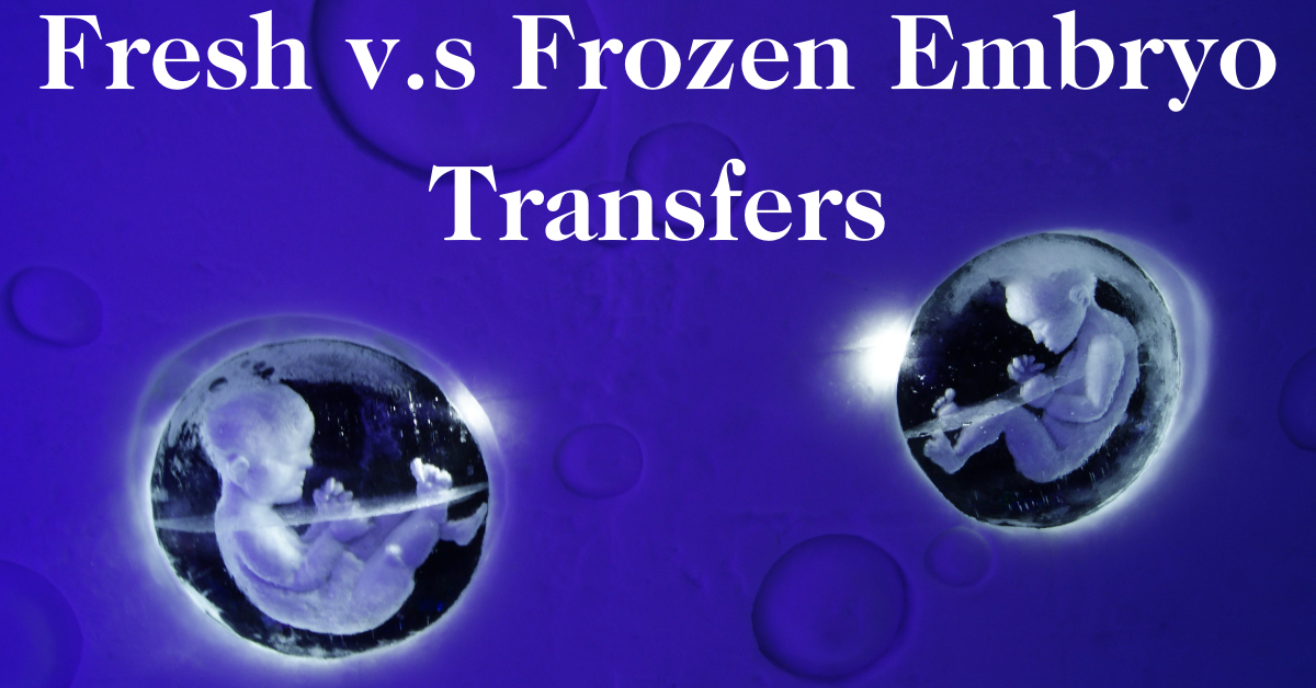 Fresh and Frozen Embryo Transfers