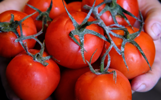 Lycopene Benefits for Sperm