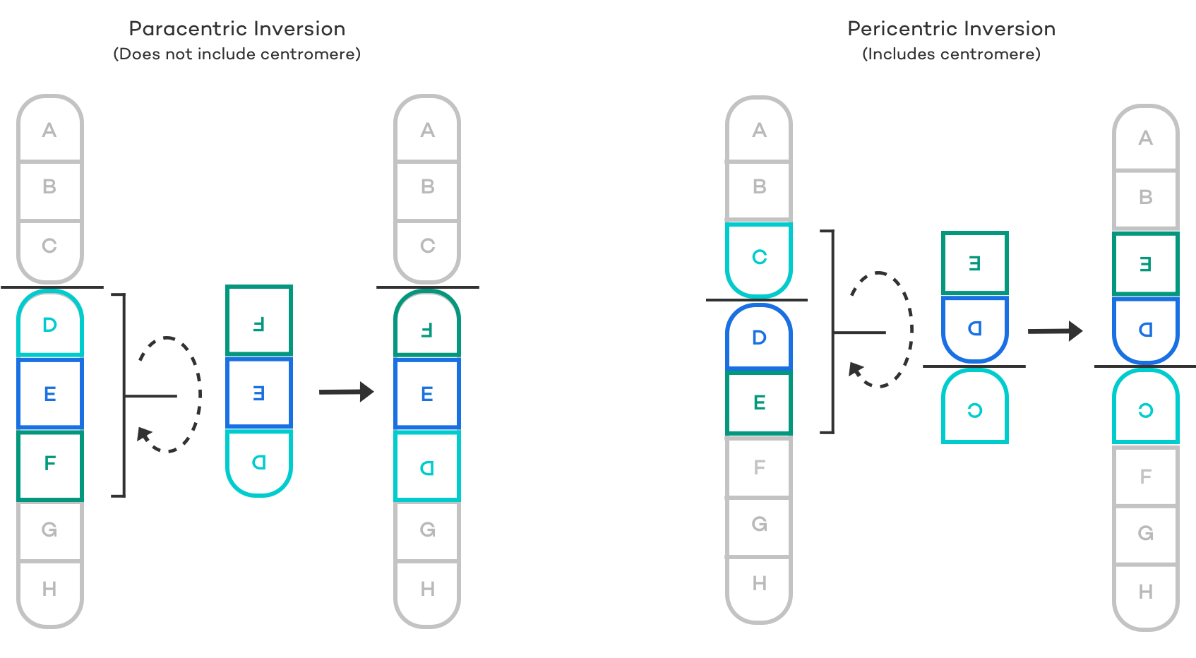 PGD for Inversions