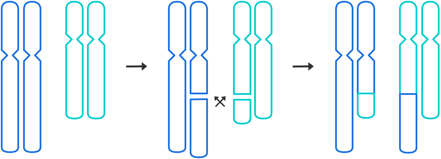 PGD for Reciprocal Translocations