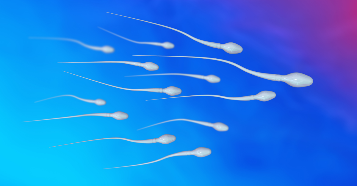 How To Increase Sperm Motility 