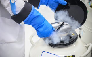 What You Need to Know About Egg Freezing